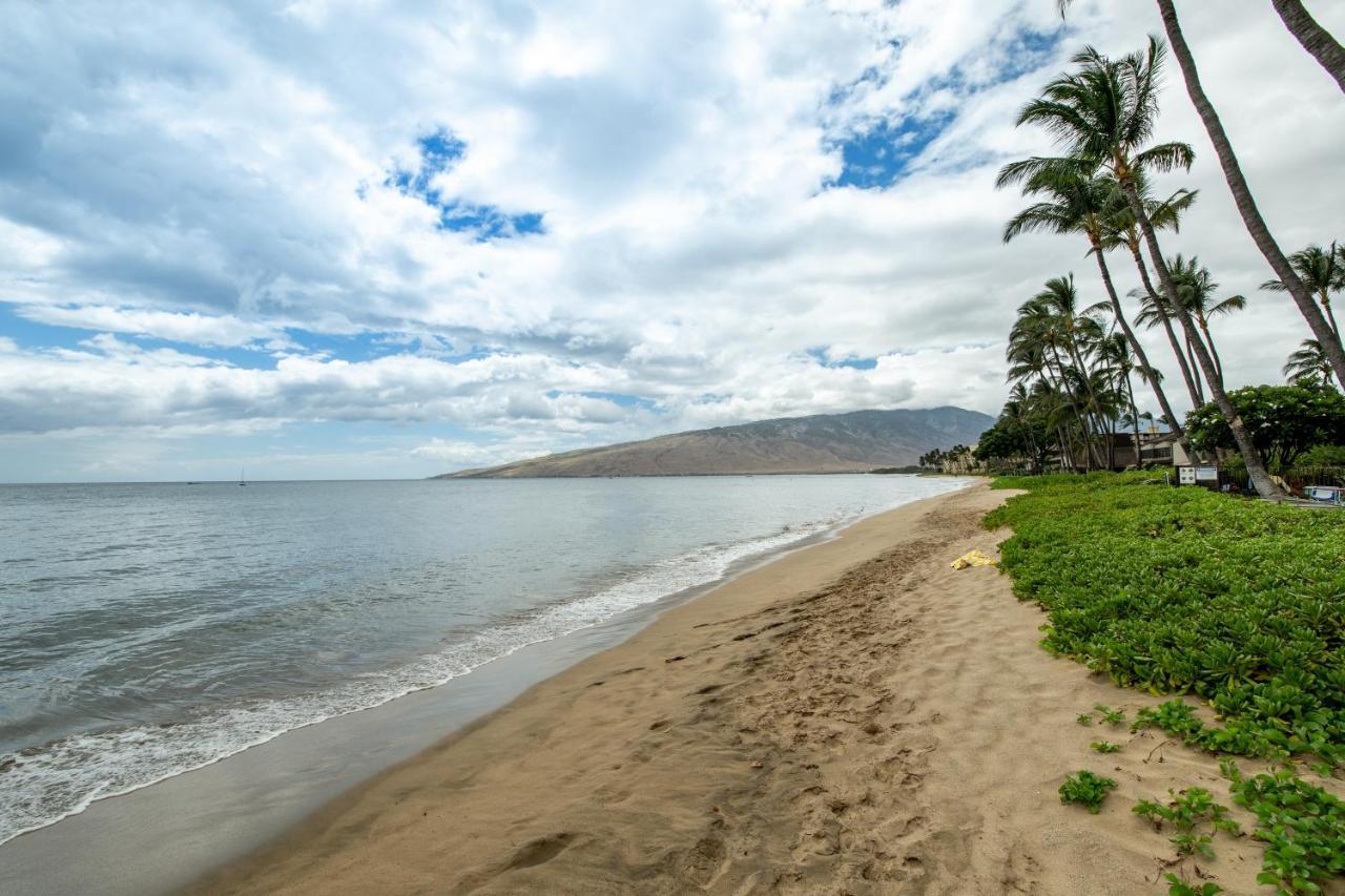 Kihei Beach 508 Εξωτερικό φωτογραφία